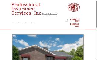 Professional Insurance Services