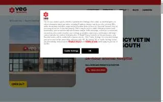 Carolina Canine College of Greenville website