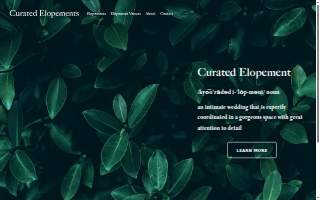 Curated Elopements