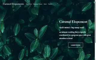 Curated Elopements website