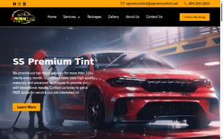 SS Premium Tint