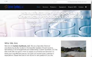 Custom Synthesis LLC