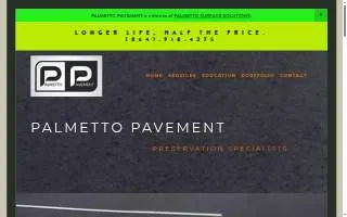 Palmetto Surface Solutions website