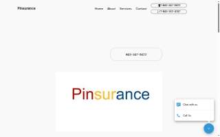 Pinsurance