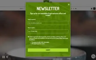 Green Laundry Lounge website