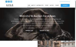 Auction for a Kaws