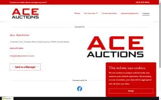 Ace Auctions website