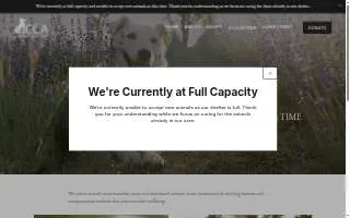 Second Chances Thrift Store of Greenville website