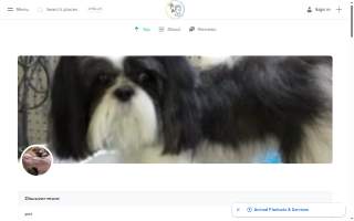 Pick of the Litter Pet Parlor