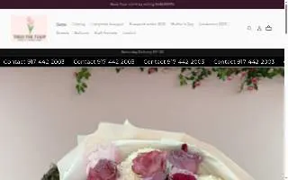 Theo The Tulip website
