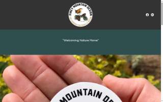 Piney Mountain Design