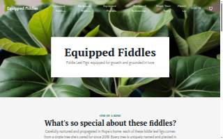 Equipped Fiddles