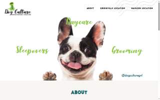 Dog Culture Mauldin