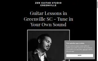 Zen Guitar Studio Greenville website