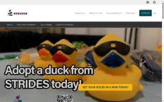 STRIDES Tutoring website
