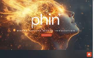 Phin Plus
