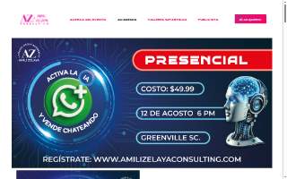 Amili Zelaya Consulting