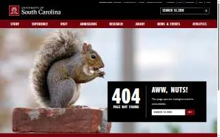 University-S Carolina Payrol website