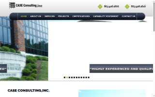 CASE Consulting