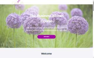 The Business Bloom Course LLC