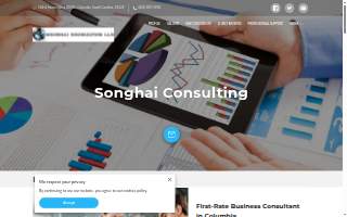 Songhai Consulting