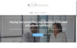 RAYNET Technologies LLC website