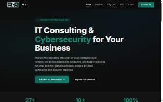 Capital Network Consultants Inc