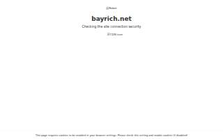 BayRich Virtual Business Solutions