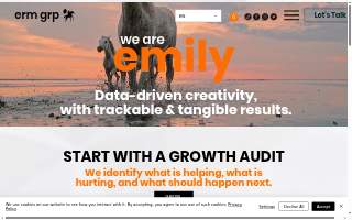 EMILY Revolutionary Marketing Group