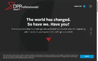D P Professionals Inc