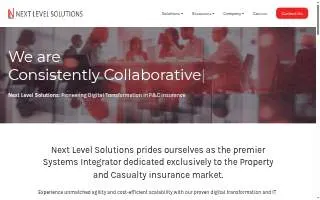 Next Level Solutions website