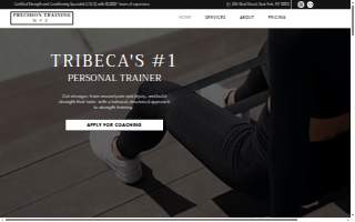 Precision Training NYC