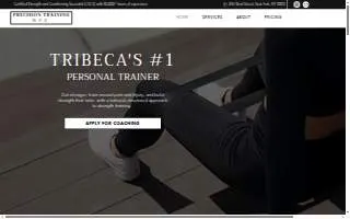 Precision Training NYC website