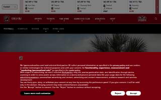 Williams-Brice Stadium