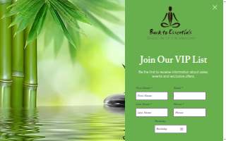 Back To Essentials Chiropractic Health and Holistic Wellness Institute