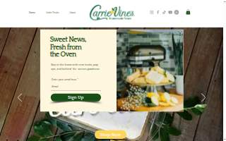 Carrie Vine's Homemade Treats