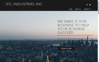 BFG Industries Inc