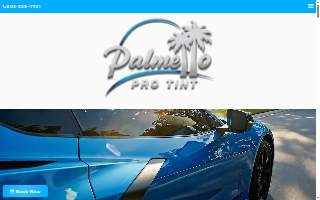 Palmetto Pro Tint