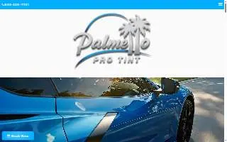 Palmetto Pro Tint website