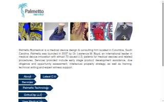 Palmetto Biomedical Inc