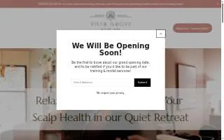 Vista Grove Head Spa website