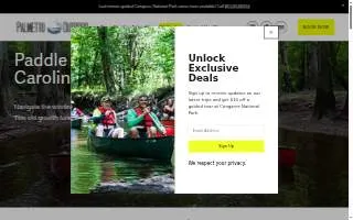 Palmetto Outdoor website