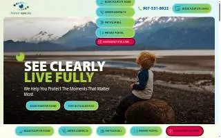 Homer Eyecare of Allakaket website