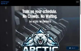 Arctic Performance of Ambler website