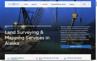 Blue Arrow Surveys, LLC of Anderson website