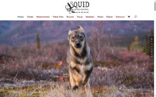 Squid Acres Kennel Dogsled Tours