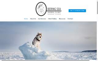 Bering Sea Animal Clinic