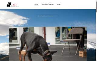 Alaska Dog Sports LLC