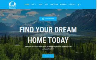Debbie Joslin Realty website