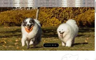 Pawsitive Dog Training of Delta Junction website